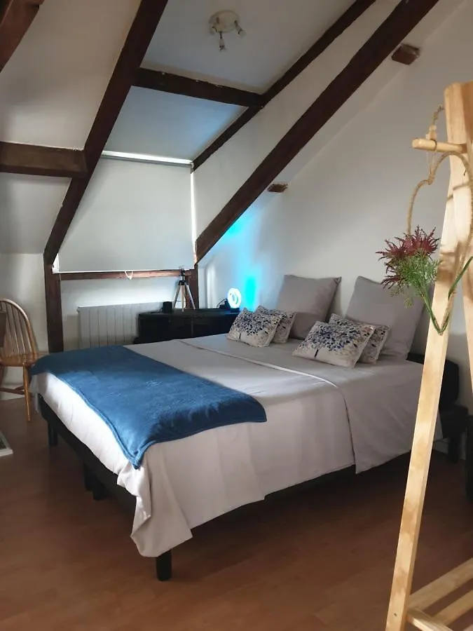Appartement d'exception sous les toits Digne-les-Bains